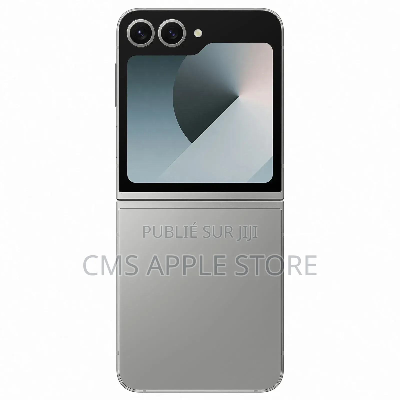 Samsung Galaxy Z Flip6 256 GB Gris