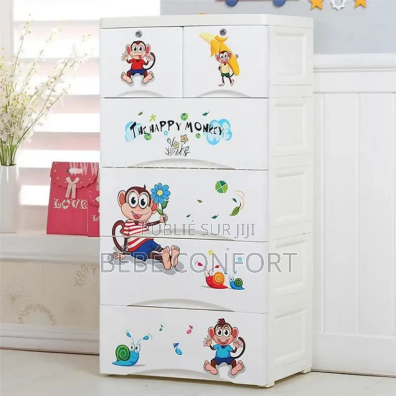 Placard De Rangement