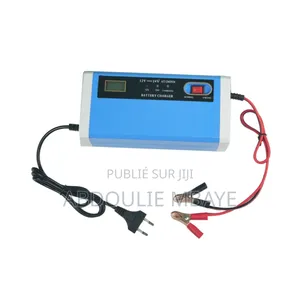 Chargeur Batterie 12V24V
