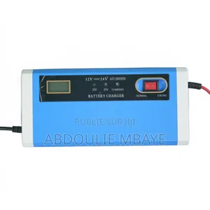 Chargeur Batterie 12V24V