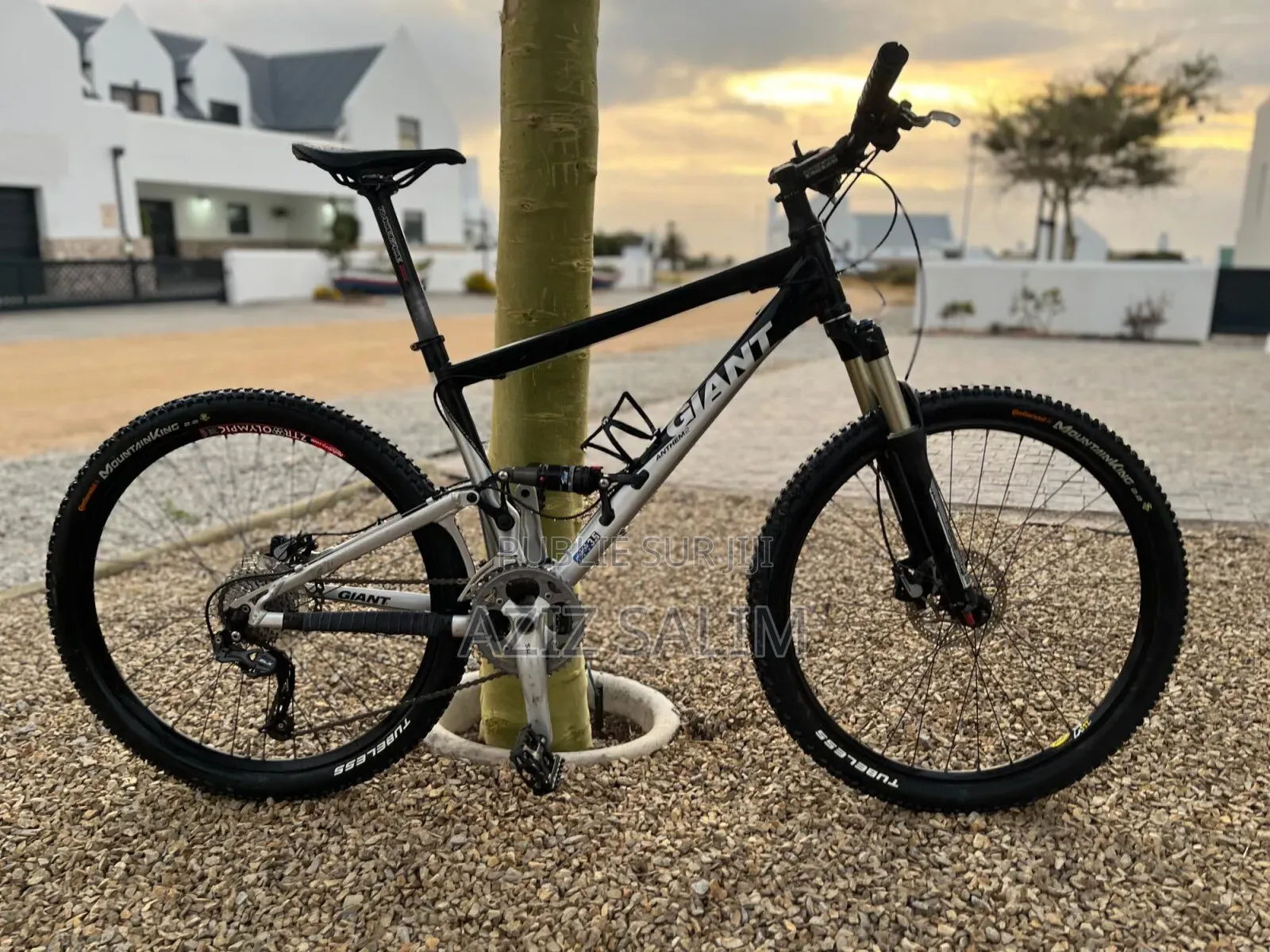 Vélo VTT Giant Anthem 2