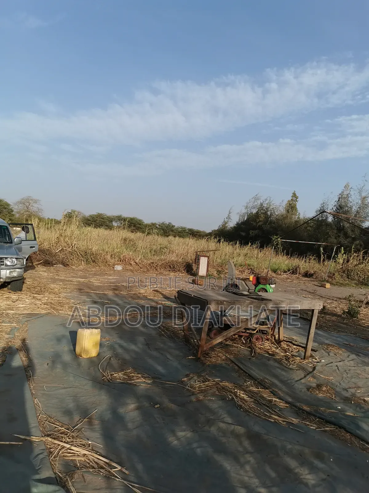 Vente Verger De 2ha 800 Mboro