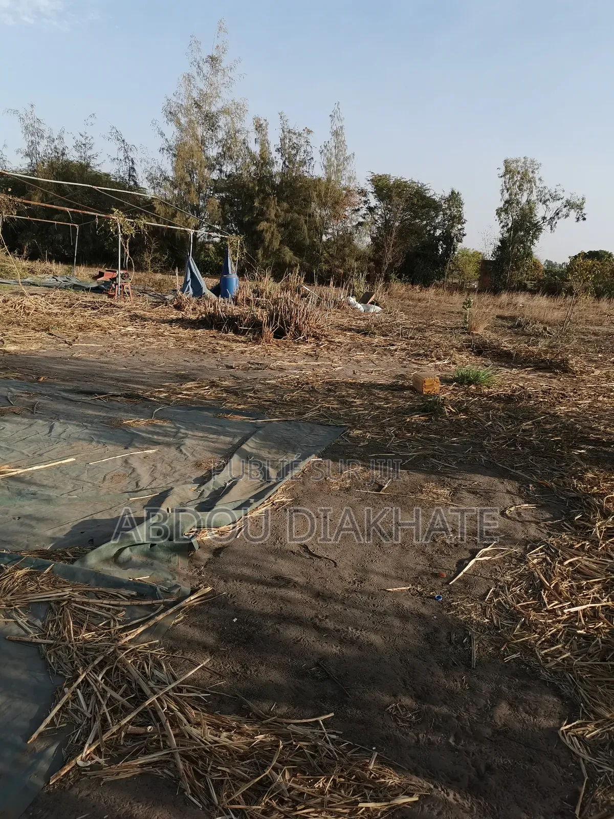 Vente Verger De 2ha 800 Mboro