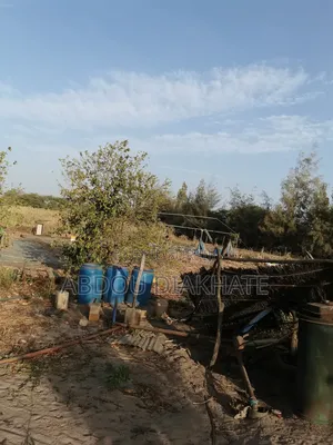 Vente Verger De 2ha 800 Mboro