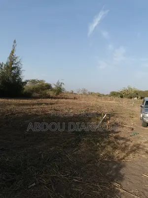 Vente Verger De 2ha 800 Mboro