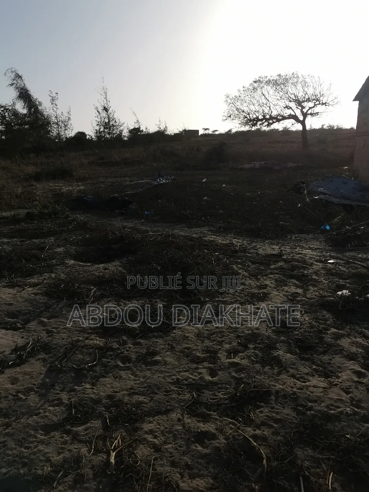 Vente Verger De 2ha 800 Mboro