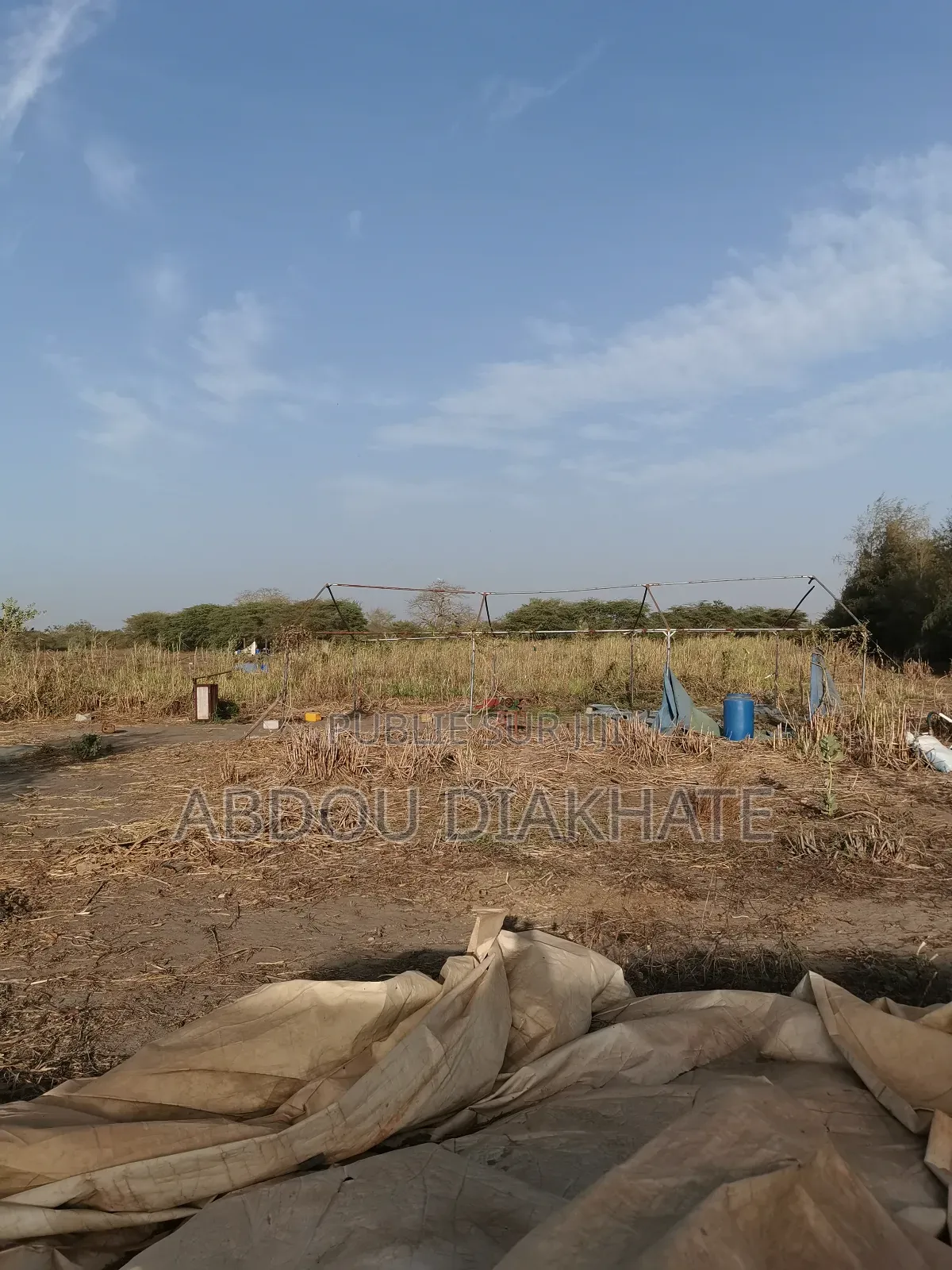 Vente Verger De 2ha 800 Mboro