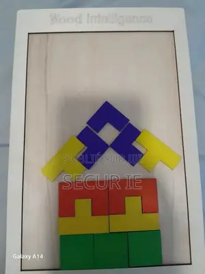 Matériel Montessori Puzzle en Bois Colorées