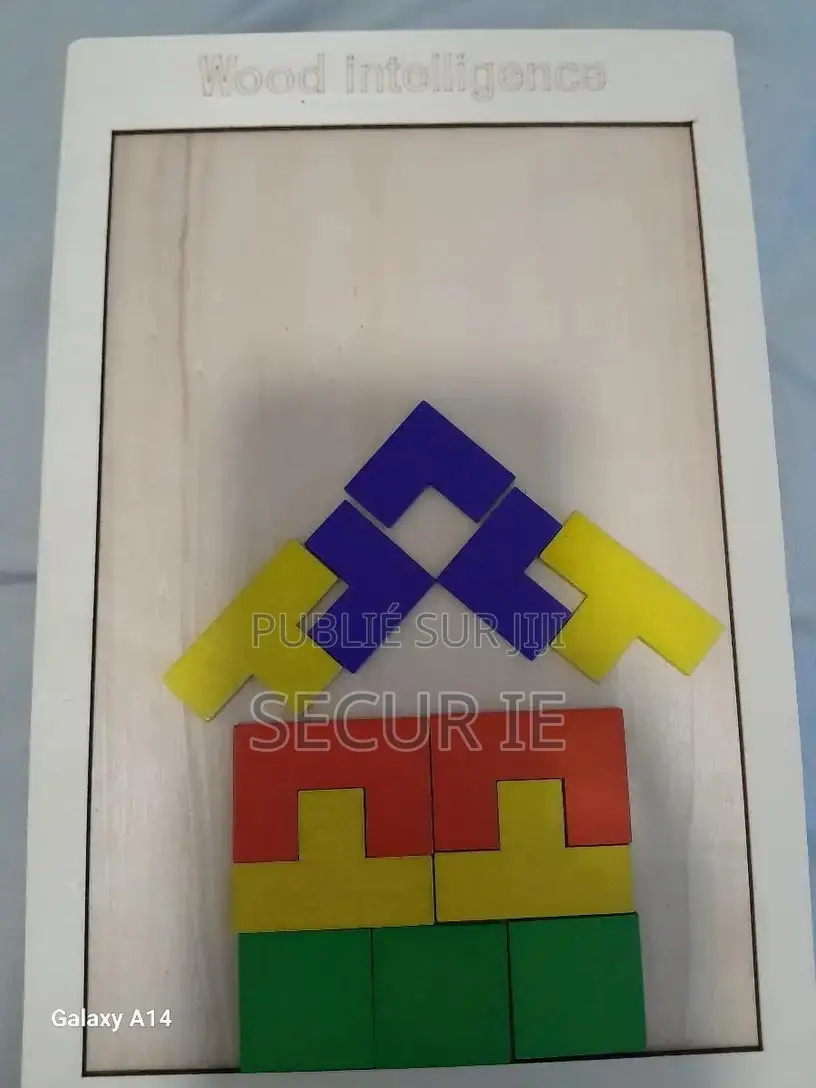 Matériel Montessori Puzzle en Bois Colorées