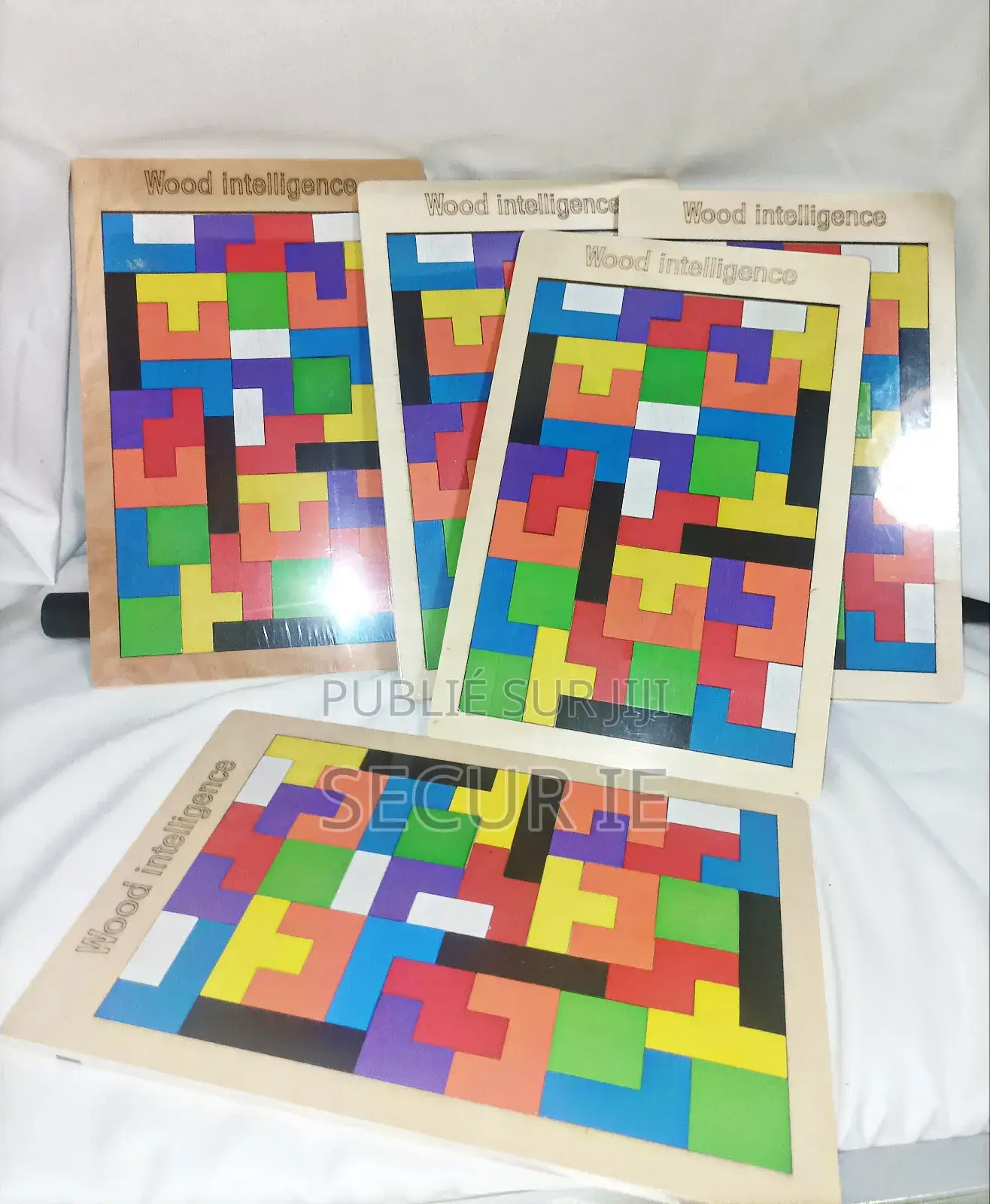 Matériel Montessori Puzzle en Bois Colorées
