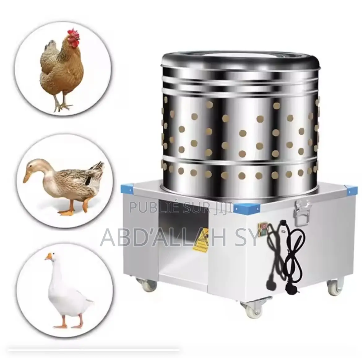 Déplumeuse Industrielle