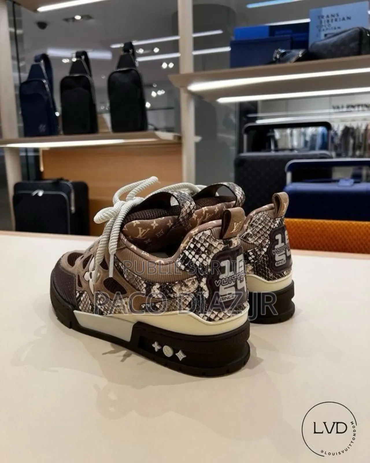 Louis Vuitton Skate Sneakers