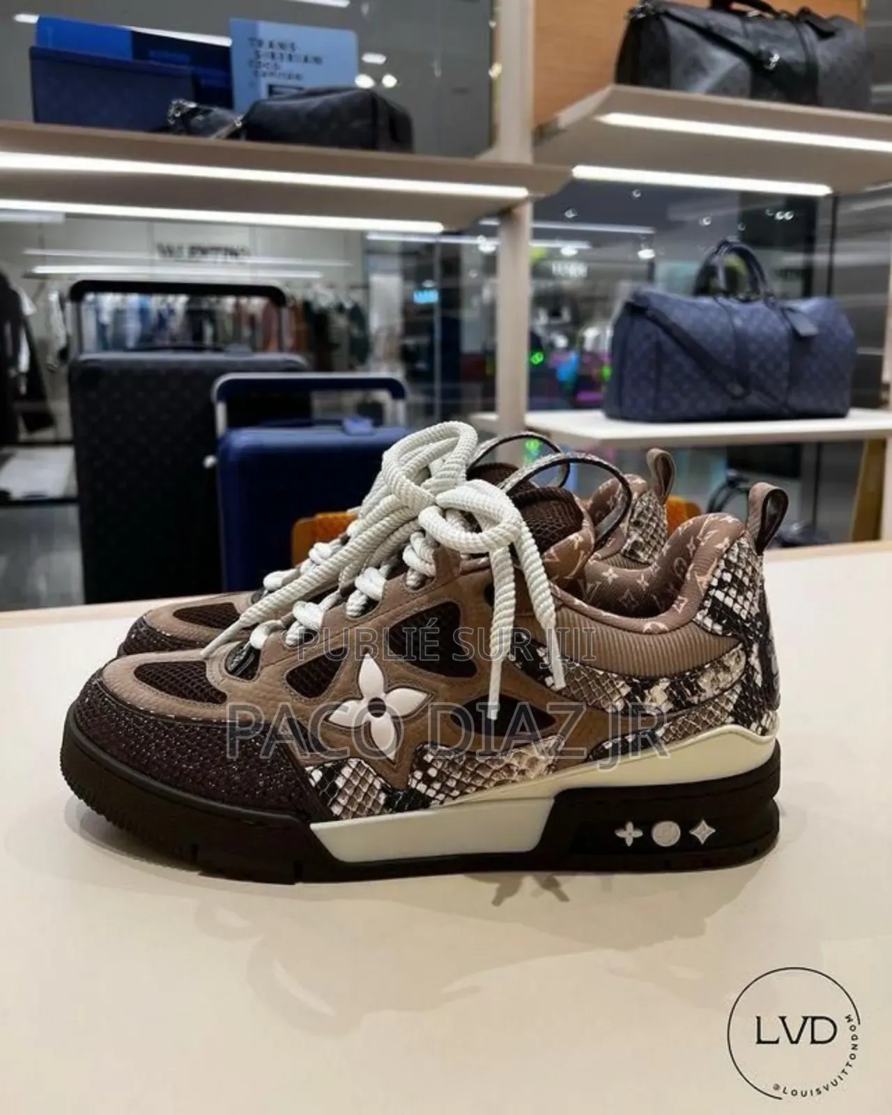 Louis Vuitton Skate Sneakers