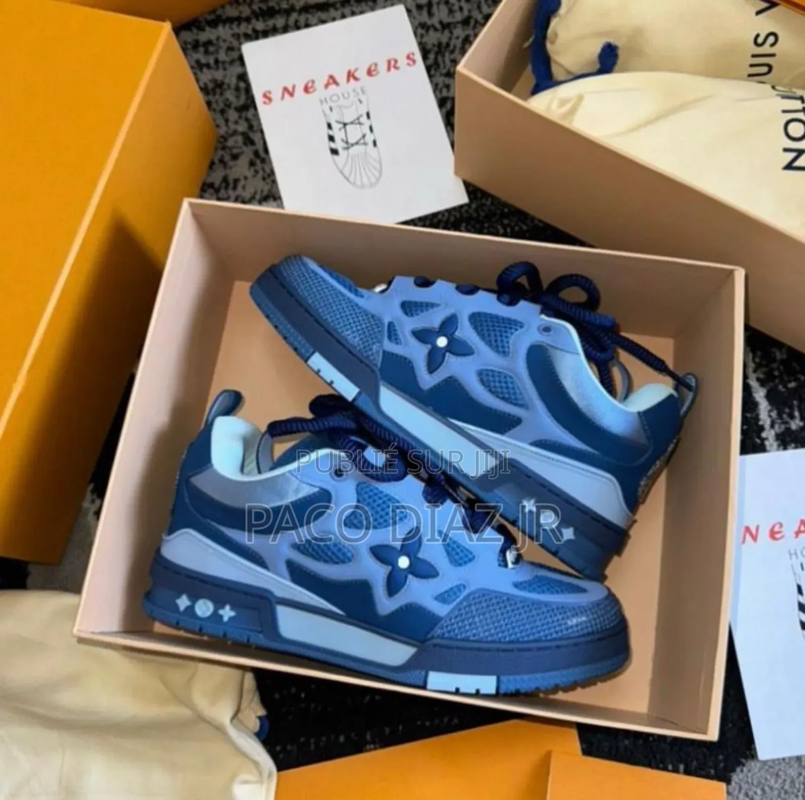 Louis Vuitton Skate Sneakers