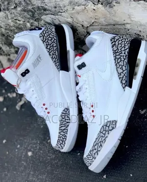 Air Jordan 3 Rétro
