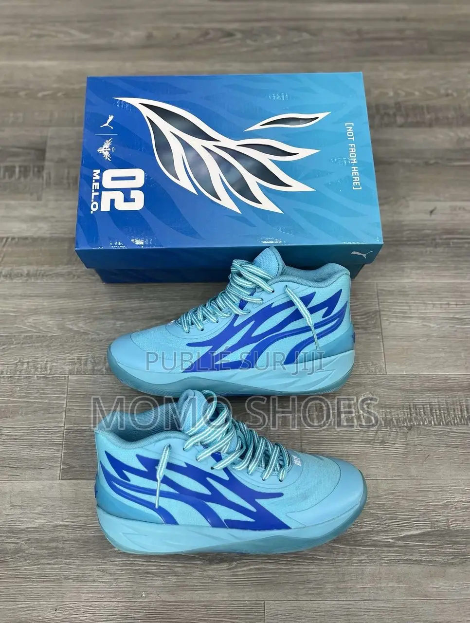 Chaussures Lamelo Ball