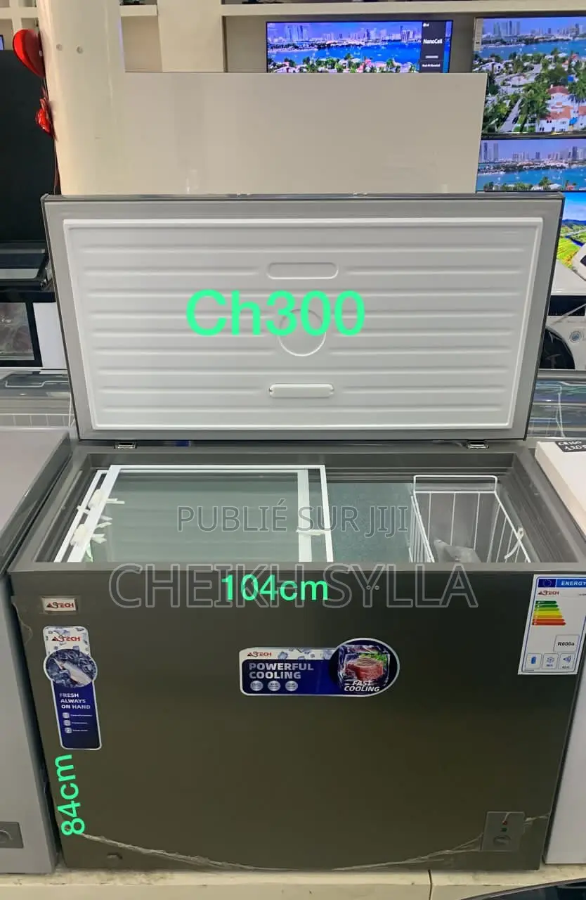 Congélateur Astech 300l A+