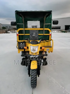 Tricycle DFZ 300cc