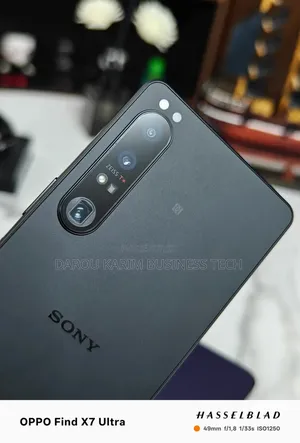 Sony Xperia 1 III 256 GB Autre
