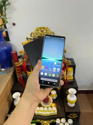 Sony Xperia 1 III 256 GB Autre