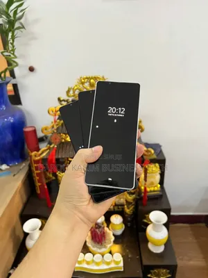 Sony Xperia 1 III 256 GB Autre