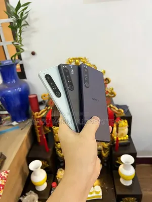 Sony Xperia 1 III 256 GB Autre