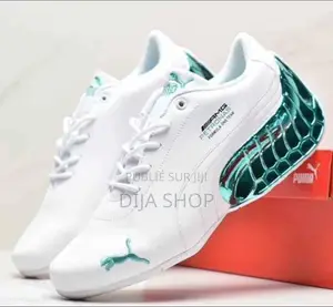 Original Puma Mercedes Mirror Original Top Quality Dispo