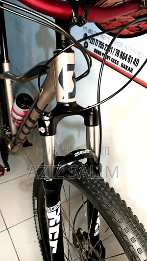 Scott Active Contessa 29" XXL