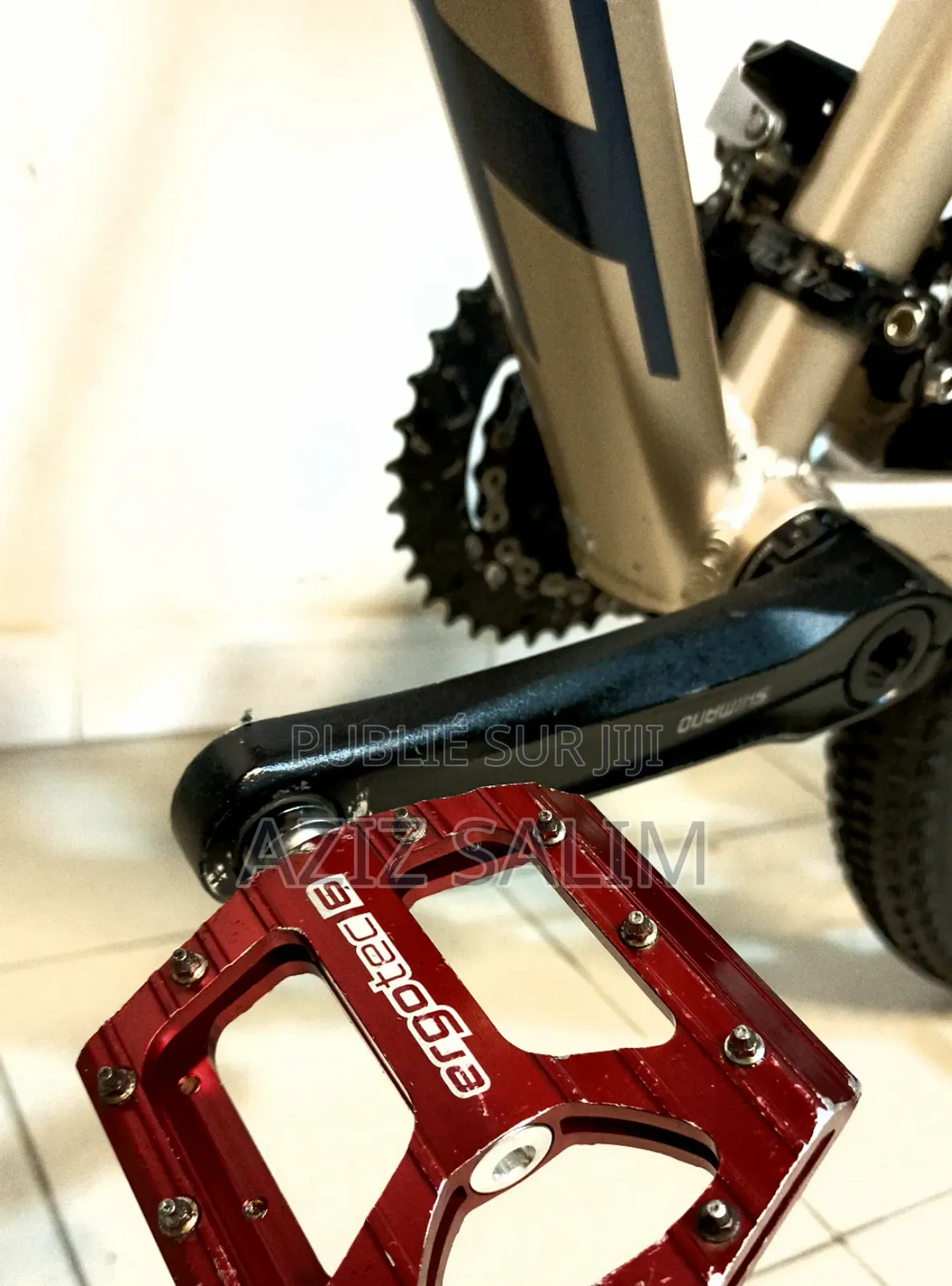 Scott Active Contessa 29" XXL