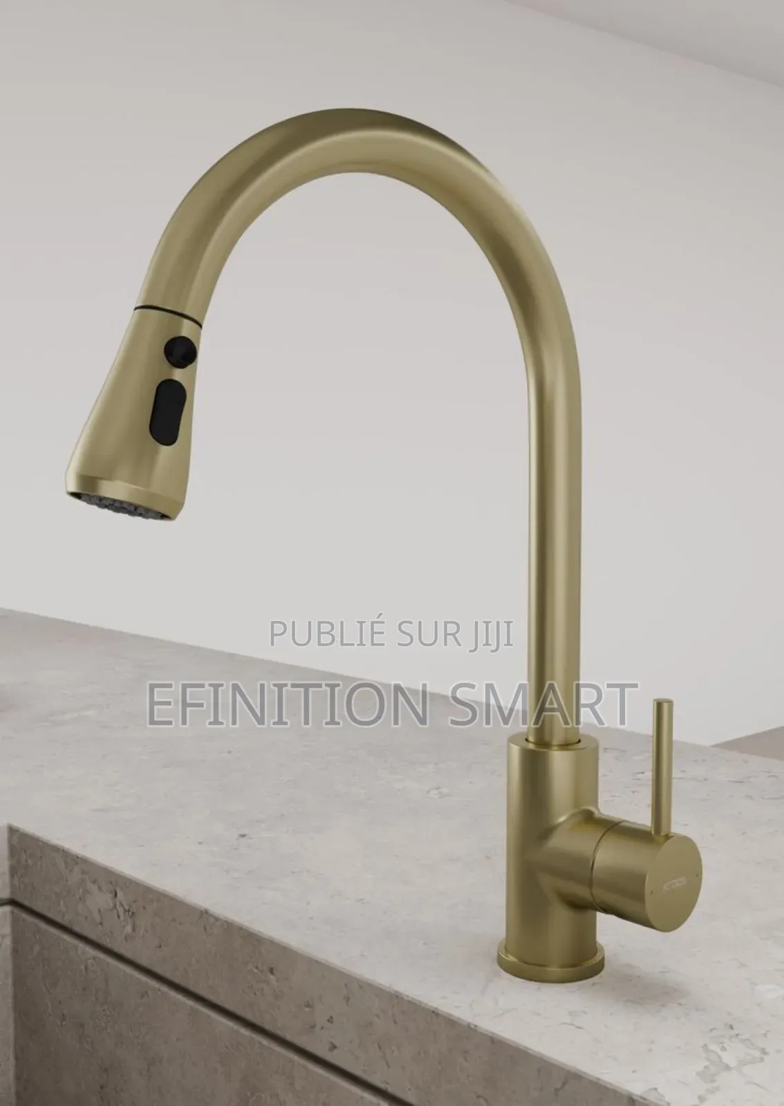 Robinet Extractible Petit Modèle Doré