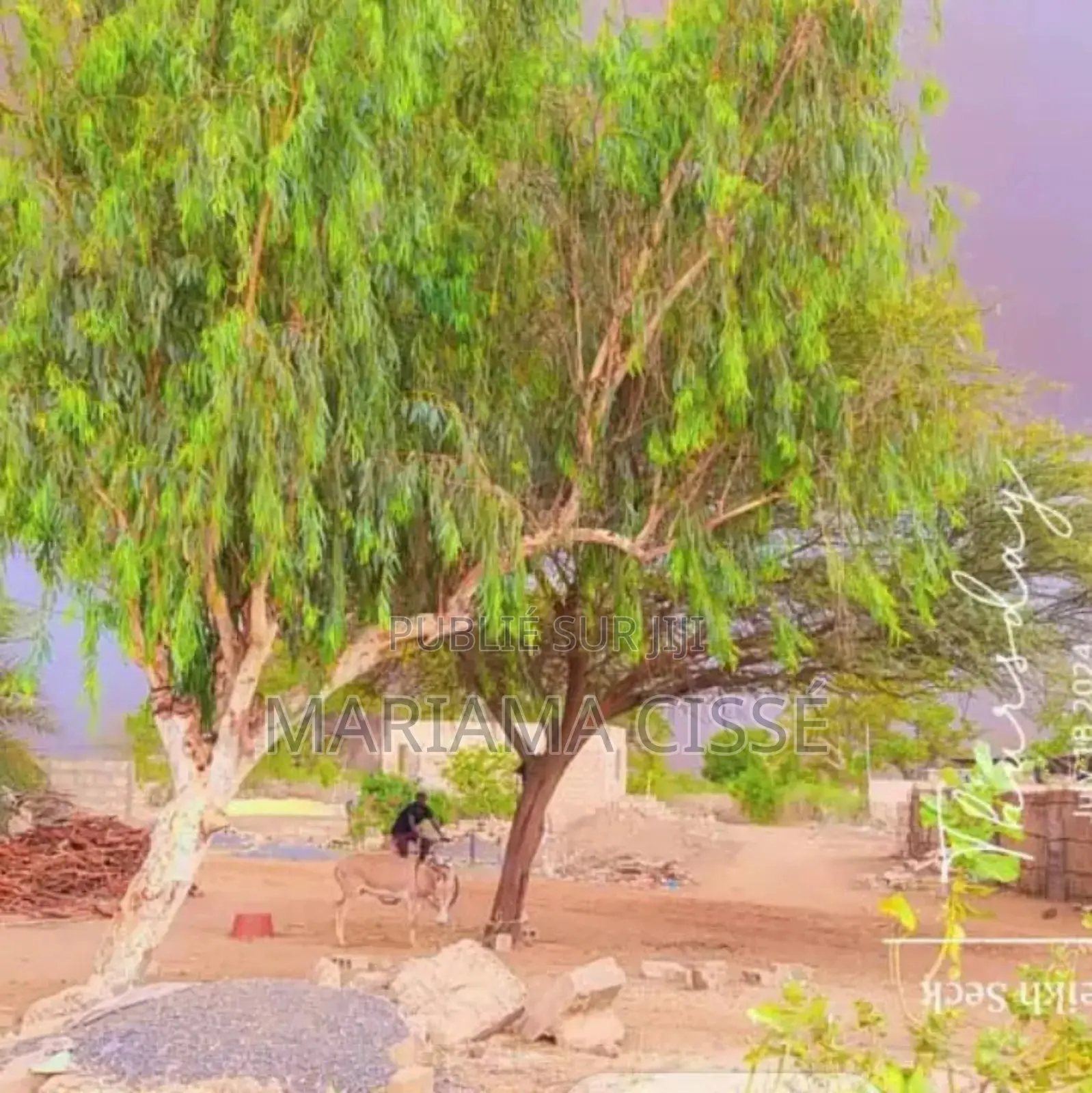 Terrain À Vendre À Poute Très Bien Place