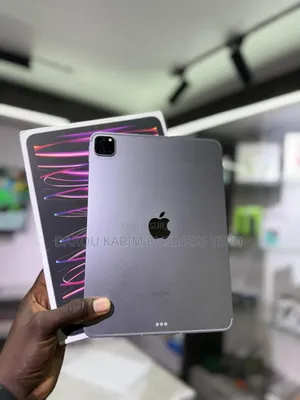 New Apple iPad Pro 11 (2024) 256 GO Autre