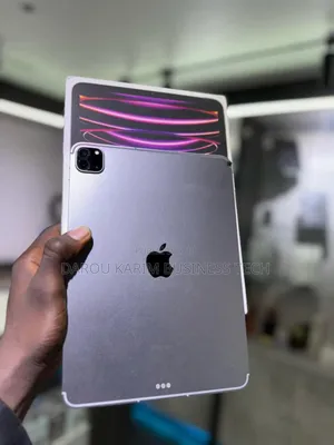 New Apple iPad Pro 11 (2024) 256 GO Autre