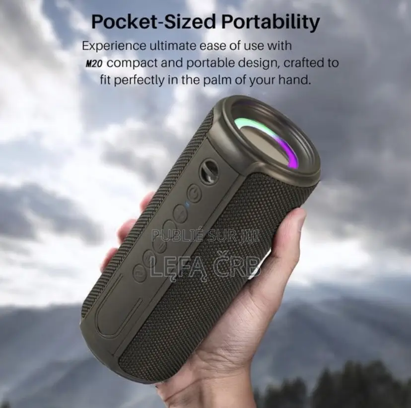 Haut-Parleur Sans Fil Bluetooth Portable