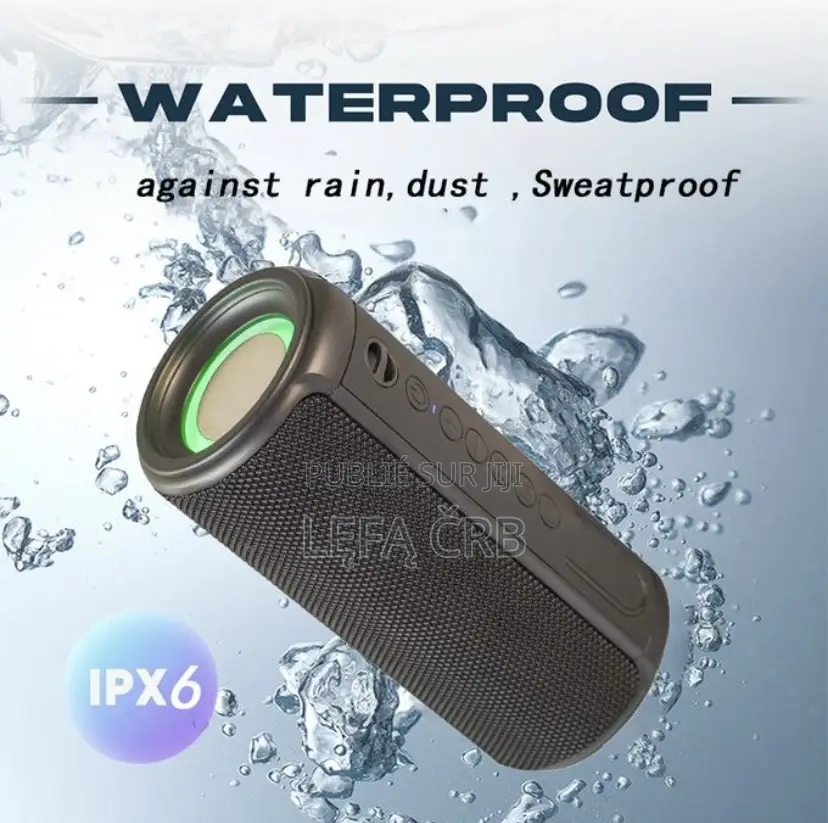 Haut-Parleur Sans Fil Bluetooth Portable