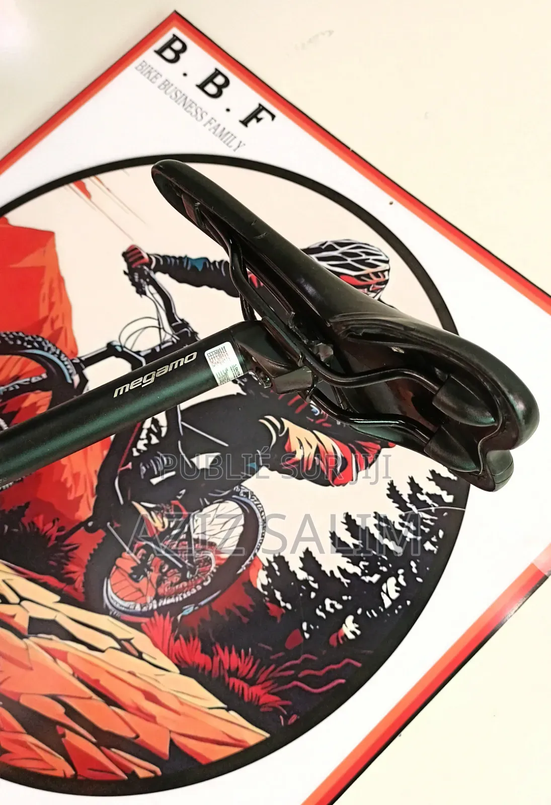 Vélo VTT Megamo Natural 40