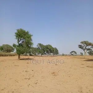 Photo - Terrain De 1,18 Hectare Vers Tassette