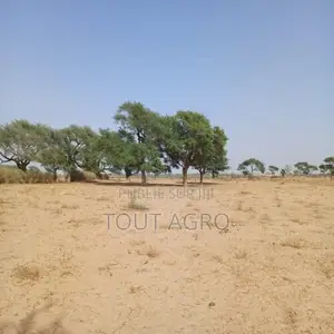 Terrain De 1,18 Hectare Vers Tassette