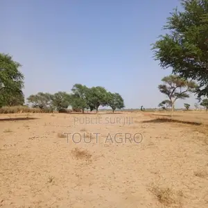 Terrain De 1,18 Hectare Vers Tassette