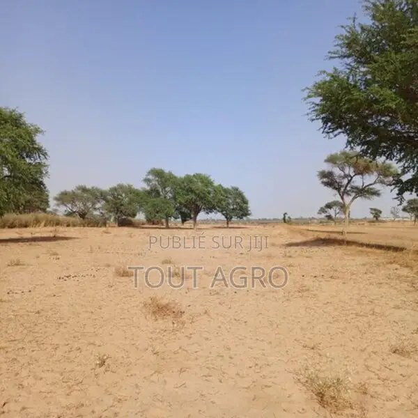 Terrain De 1,18 Hectare Vers Tassette