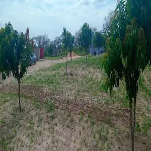 Ferme De 1 Hectare Vers Notto Diobass