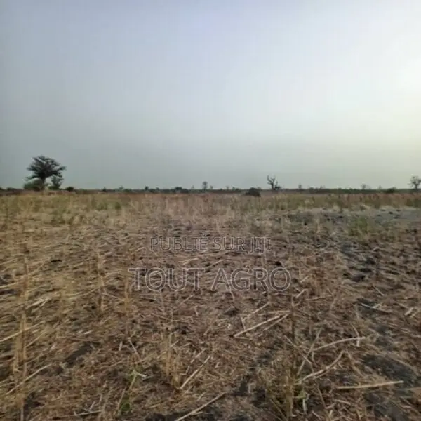 Terrain De 2 Hectares Vers Nguéniène