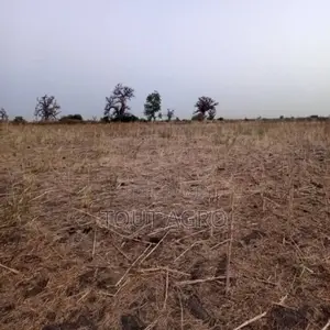 Terrain De 2 Hectares Vers Nguéniène
