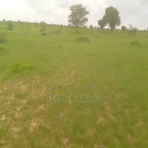 Location D’Un Terrain Agricole De 3 Hectares Vers Koungheul