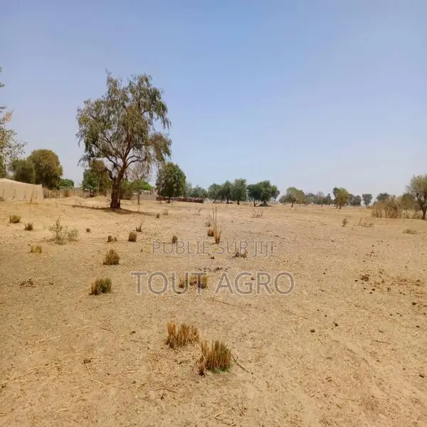 Terrain De 2 Hectares Vers Tassette