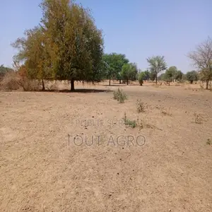 Terrain De 2 Hectares Vers Tassette