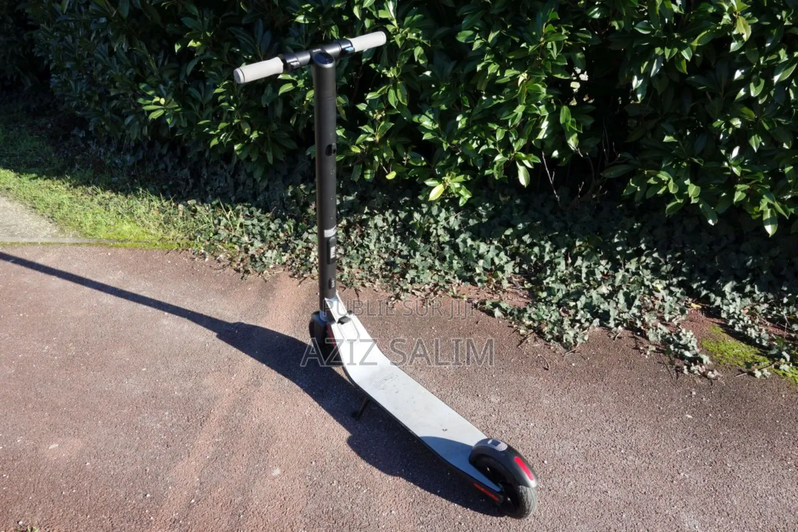 Trottinette Électrique Ninebot Es1