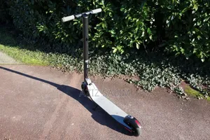 Trottinette Électrique Ninebot Es1