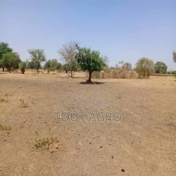 Terrain De 1,08 Hectare Vers Tassette