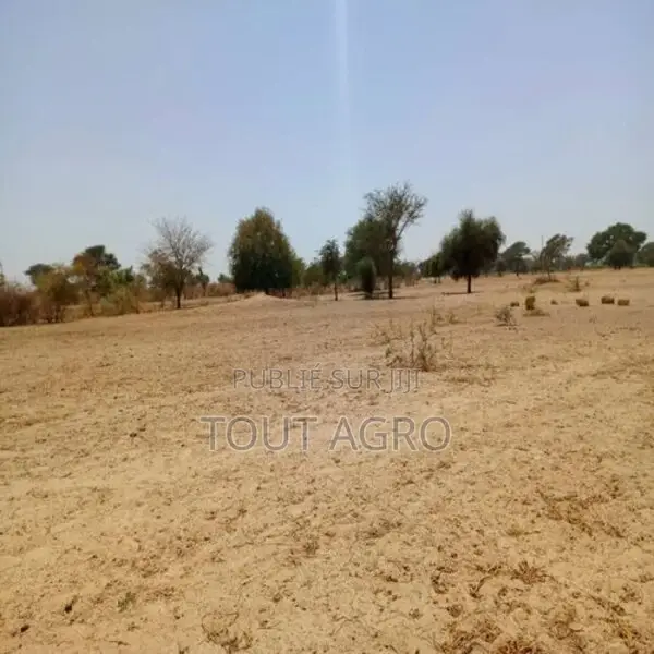Terrain De 1,08 Hectare Vers Tassette
